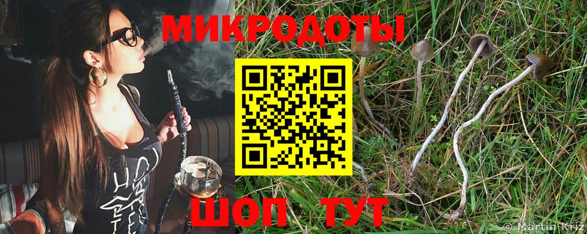 Псилоцибиновые грибы GOLDEN TEACHER Симферополь